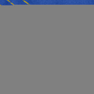 Ukraine Ukrainian Flag 3x5 Ft Lite Weave Printed 150D Polyester Indoor Outdoor