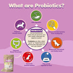 Load image into Gallery viewer, Probiotics for Dogs Puppies Extra Strength 9 Species 5 Billion CFU per Scoop of
