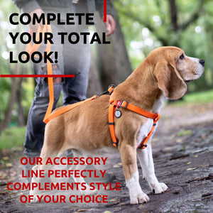 Waterproof Dog Leash 4 Ft 6 Ft Anti Slip Dog Leash for Large Dogs Small and Medium Dogs Heavy Duty Dog Leash with Water and Dirt Resistant Long Or Short Dog Leashes for Boy & Girl Dogs