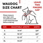 Load image into Gallery viewer, Nylon Dog Collar Adjustable for Small Dogs 914 in Neck x 3/5 in Wide Summer
