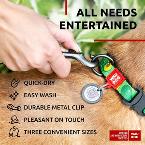 WAUDOG Nylon Dog Leash for Small Dogs and Medium Dogs 4 Ft Strong Dog Leash for Large Dogs Heavy Duty Dog Leashes for Large Breed Dogs & Puppy Leash for Small Boy & Girl Dogs