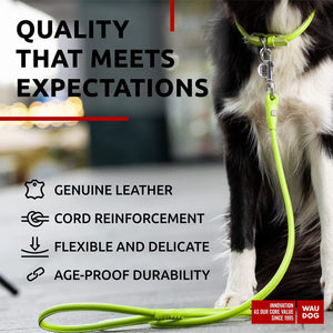 WAUDOG Rolled Leather Dog Leash 4Ft * 0.4 in for Small Medium and Large Dogs Heavy Duty Leather Puppy Leash for Outdoor Walking Running Training Strong Dog Leashes for Large Breed Dogs (Green)