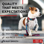 Load image into Gallery viewer, Nylon Dog Leash for Small Medium Dogs 4 Ft Strong Dog Leash Colorful Heavy Duty
