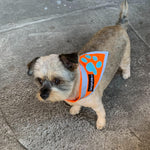 Load image into Gallery viewer, Orange Dog Bandana Neck Size 10 inch S Size Hi Visibility Reflective Blaze
