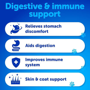 Probiotics for Dogs   Support Gut Health Itchy Skin Allergies Immunity Yeast
