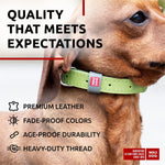 Load image into Gallery viewer, Leather Dog Collar Adjustable All Sizes Buckle D-Ring &amp; QR Tag