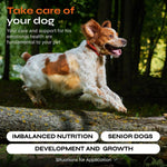 Load image into Gallery viewer, Dog Multivitamin Chews Vitamins 15 in 1 Joint Supplement for Dogs for Hip Joint
