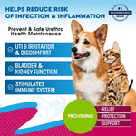 Load image into Gallery viewer, Cat &amp; Dog UTI Treatment Drops Cranberry Urinary Support