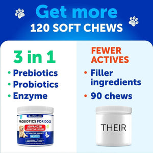 Probiotics for Dogs   Support Gut Health Itchy Skin Allergies Immunity Yeast