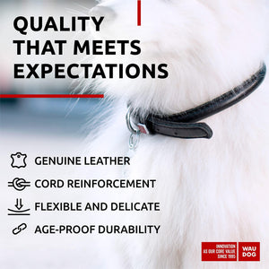 WAUDOG Ultra Soft Rolled Leather Dog Collar for Small Dogs Soft Padded Dog Collars for Medium Dogs Puppy Collars for Large Breed Dogs Male and Female Dog Collar