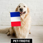 Load image into Gallery viewer, G128 24 Pack Handheld France French Stick Flags  12x18 In  Printed 150D Polyester, Country Flag, Solid Wooden Stick, Spear Gold Tip