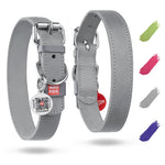Load image into Gallery viewer, WAUDOG Long Lasting Leather Dog Collar for Large Dogs Medium &amp; Small Dogs
