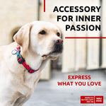 Load image into Gallery viewer, Nylon Dog Collar Size 14  23 in Neck  x 1 in Wide Adjustable Dog Collar for
