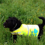 Load image into Gallery viewer, Reflective Dog Safety Vest Hi-Vis S Size 24.5 in Chest x 17 in Neck Yellow
