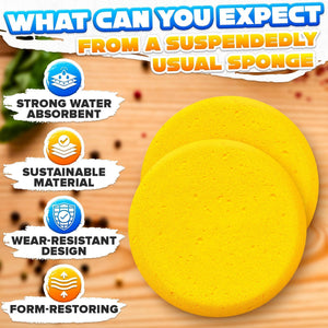 12 Pcs Pottery Sponges for Clay – 2.8 x1  Pottery Sponge for Painting Car Waxing Washing Dishes & Ceramic Care Tack Sponges for Cleaning Leather – Durable Texture for Efficient Sculpting & Cleanup
