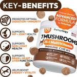 Load image into Gallery viewer, 2 Pack Turkey Tail Mushroom for Dogs 340 Chews Lion’s Mane Shiitake Reishi Buddy Immune Support Guard Mushroom Supplement for Dogs with Glucosamine, Health Vitamins Multivitamin