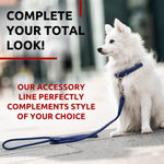 Load image into Gallery viewer, Rolled Leather Dog Leash 4 ft x 0.3 in All Sizes Purple