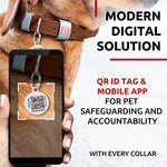 Load image into Gallery viewer, Leather Dog Collar XSmall Dogs 8–11 in Neck x 0.5 in Wide