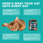 Load image into Gallery viewer, Cat Calming Treats  500 Crunchy Calming Cat Treats with Melatonin for Cats Valerian Root LTheanine Taurine &amp; Probiotics  Cat Vitamins and Supplements for Stress Anxiety Relief All Breeds