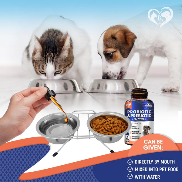 Probiotics Prebiotics with Enzymes for Dogs and Cats Digestive Gut Flo