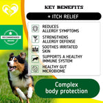 Load image into Gallery viewer, Dog Allergy Relief Chews Anti-Itch Hot Spots Omega-3