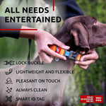 Load image into Gallery viewer, Waterproof Dog Collar Adjustable 17–28 in Neck x 1 3/5 in Wide Buckle &amp; QR Tag Orange