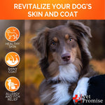 Load image into Gallery viewer, Omega 3 for Dogs Dog Skin and Coat Supplement Fish Oil for Dogs Chews 120 Treats
