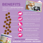 Load image into Gallery viewer, Dog Prenatal Vitamins 120 Soft Chews Multivitamin Folic Acid Zinc B Complex DHA &amp; EPA Omegas and Probiotics Supplement for Pregnant Nursing Breastfeeding pet Mom &amp; Puppy Vitamin Formula