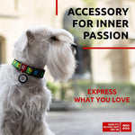 Load image into Gallery viewer, Nylon Dog Collar Adjustable All Sizes Breakaway Plastic Buckle &amp; QR Tag Avocado