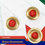 Load image into Gallery viewer, South Africa South African Flag 3x5 Ft 2 Pack 150D Printed Polyester Brass
