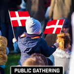 Load image into Gallery viewer, G128 24 Pack Handheld Denmark Danish Stick Flags  12x18 In  Printed 150D Polyester, Country Flag, Solid Wooden Stick, Spear Gold Tip