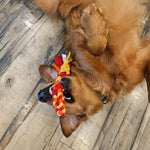 Load image into Gallery viewer, Orange Interactive Tug Toy for Dogs Mental Stimulation Toy Slow Play Treat Dispenser Brain Exercise for Puppies &amp; Seniors Teething Relief Blue Orange Purple (Orange)