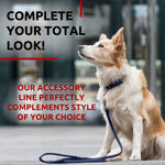 Load image into Gallery viewer, WAUDOG Rolled Leather Dog Leash 4Ft * 0.4 in for Small Medium and Large Dogs Heavy Duty Leather Puppy Leash for Outdoor Walking Running Training Strong Dog Leashes for Large Breed Dogs (Purple)
