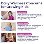 Load image into Gallery viewer, Elderberry Gummies for Kids 3 in 1 Immune Support with Zinc Vitamin C 60 Count Kids Elderberry Gummies for Daily Immunity Vegan Formula for Strong Immune Health