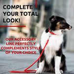 Load image into Gallery viewer, Rolled Leather Dog Leash 4 ft x 0.5 in All Sizes Red
