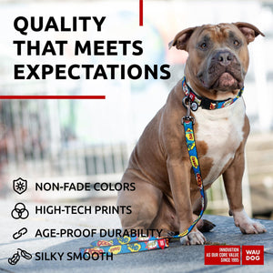 Nylon Dog Leash for Small Dogs and Medium Dogs 4 Ft   Strong Dog Leash for Large Dogs   Heavy Duty Dog Leashes for Large Breed Dogs & Puppy Leash for Small Boy & Girl Dogs