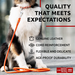 WAUDOG Rolled Leather Dog Leash 4Ft * 0.5 in for Small Medium and Large Dogs Heavy Duty Leather Puppy Leash for Outdoor Walking Running Training Strong Dog Leashes for Large Breed Dogs (Orange)