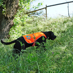 Reflective Dog Vest XL Size Orange Chest 42 In Neck 21.75 in Hi Visibility