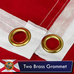 Load image into Gallery viewer, Florida FL State Flag 3x5 Ft 10Pack Printed Polyester By G128