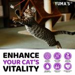 Load image into Gallery viewer, Cats Multivitamin Chewable Hip Joint Support Immune Health Skin Heart Digestion Probiotics