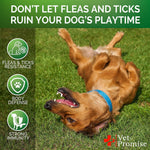 Load image into Gallery viewer, Flea &amp; Tick Chews for Dogs Oral Soft Chews All Breeds &amp; Sizes Vet Formulated