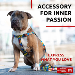 Nylon Dog Leash for Small Dogs and Medium Dogs 4 Ft   Strong Dog Leash for Large Dogs   Heavy Duty Dog Leashes for Large Breed Dogs & Puppy Leash for Small Boy & Girl Dogs