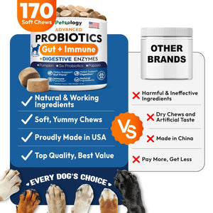 Probiotics for Dogs 170 Chews Dog Digestive Enzymes Prebiotics Support Gut