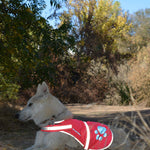 Load image into Gallery viewer, Reflective Dog Vest Hi-Vis Multiple Colors On/Off Leash