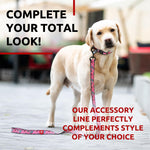 Load image into Gallery viewer, Nylon Dog Leash for Small Dogs and Medium Dogs 4 Ft Strong Dog Leash for Large Dogs Heavy Duty Dog Leashes for Large Breed Dogs &amp; Puppy Leash for Small Boy &amp; Girl Dogs
