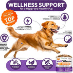 Load image into Gallery viewer, (2 Pack) Multivitamin Chews for Dogs
