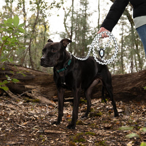 Reflective Dog Leash. Heavy Duty and Durable for Large and Medium Breeds. 6 Ft Long Rope Tangle Free Braided Leash with Comfortable Handle (Black)