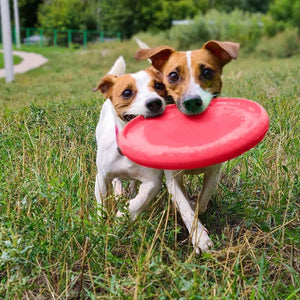 Dog Frisbee Toy Safe for Teeth Outdoor Floating Flying Disk for Small Medium Dog