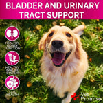 Load image into Gallery viewer, Dog UTI Treatment 120 Chews Cranberry Supplement Bladder Control
