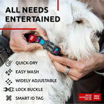 Load image into Gallery viewer, Nylon Dog Collar Adjustable for Small Dogs 914 in Neck x 3/5 in Wide Summer
